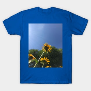 Black-Eyed Susans, autumn yellow flowers, blue sky T-Shirt